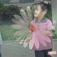 رودي سولي