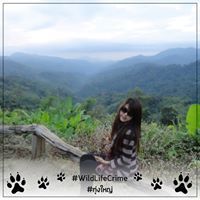 Jeep Natcha