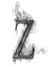 Zeyad S...