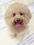 Siew Choon