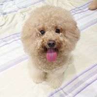 Siew Choon