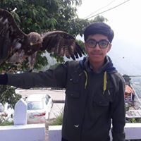 Syed Noman