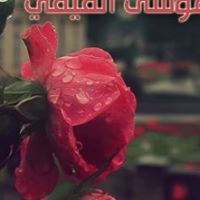 موسى الفيفي