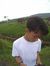 Dendy D...