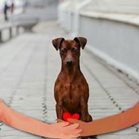 Виктория Карпова