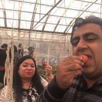 Mohit Bareja