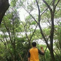Bambang At