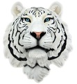 The White Tiger