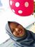 Dessy Nato