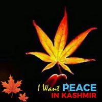 علاوي هلالي