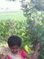 Ghanshy...