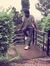 Gokul Goku