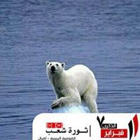 فواز القدسي