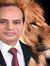 Safwat ...