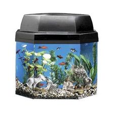 Fishbox Pro