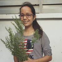 ឃុន សុគន្ធា