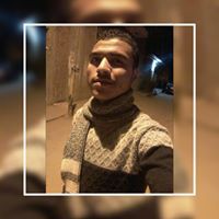 Ahmed H Nasr