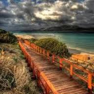 شيماءعبدالسلام العطار