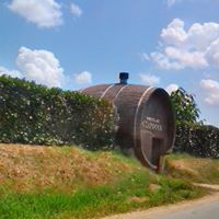 Димитър Куманов