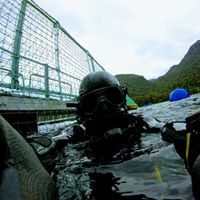 Hernan Von Schakmann