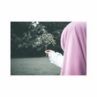 Hidayatul Hasanah