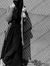 Syeda T...