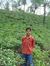 Vaibhav...