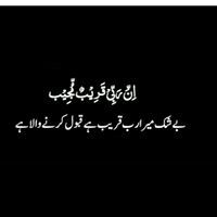 Rabia Shahid