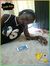 Timmy T...