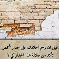 وائل عبد المجيد