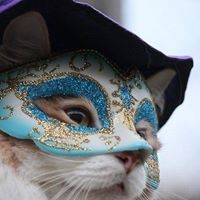 Quyền Nguyễn Hữu