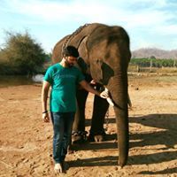 ಶ್ರೀ ಶ್ರೀನಿವಾಸ್