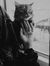 Mariam ...