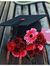 DoAa Fathy