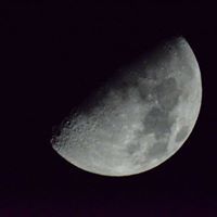 დავით რამიშვილი