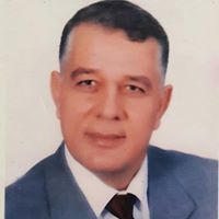 عطا الحامولي