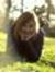 Gergana...