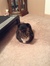 Karly