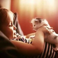 بيان البشاش