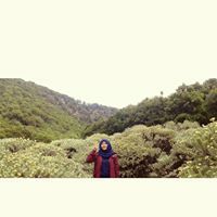 Ambar Yani