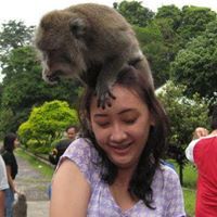 Wenda Arjanto