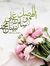 Salwa E...