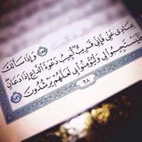 هبة محبة القرآن