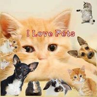 เอเอ เมี้ยวววว