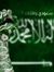 Saleh A...