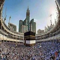 محمد أبو المجد