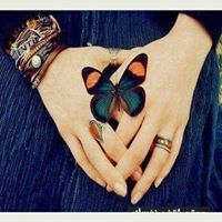 اميره محمود