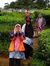 Afiqah ...