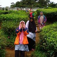 Afiqah Auni