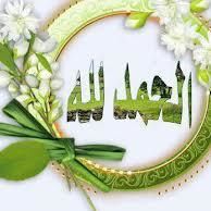 مجدى عبد الباسط